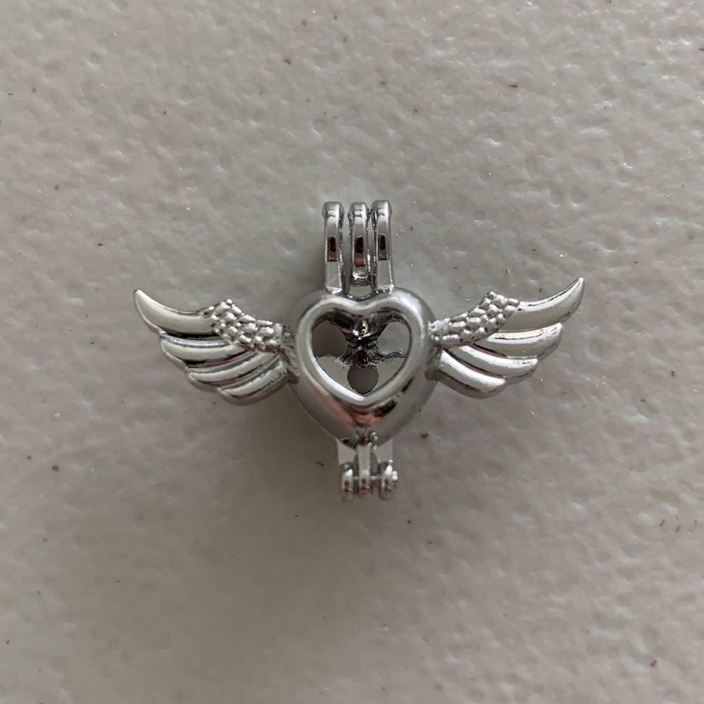 Heart with wings ❤️ 🪽